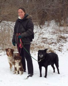 Professional Dog Training in Windsor, Lakeshore, Ontario